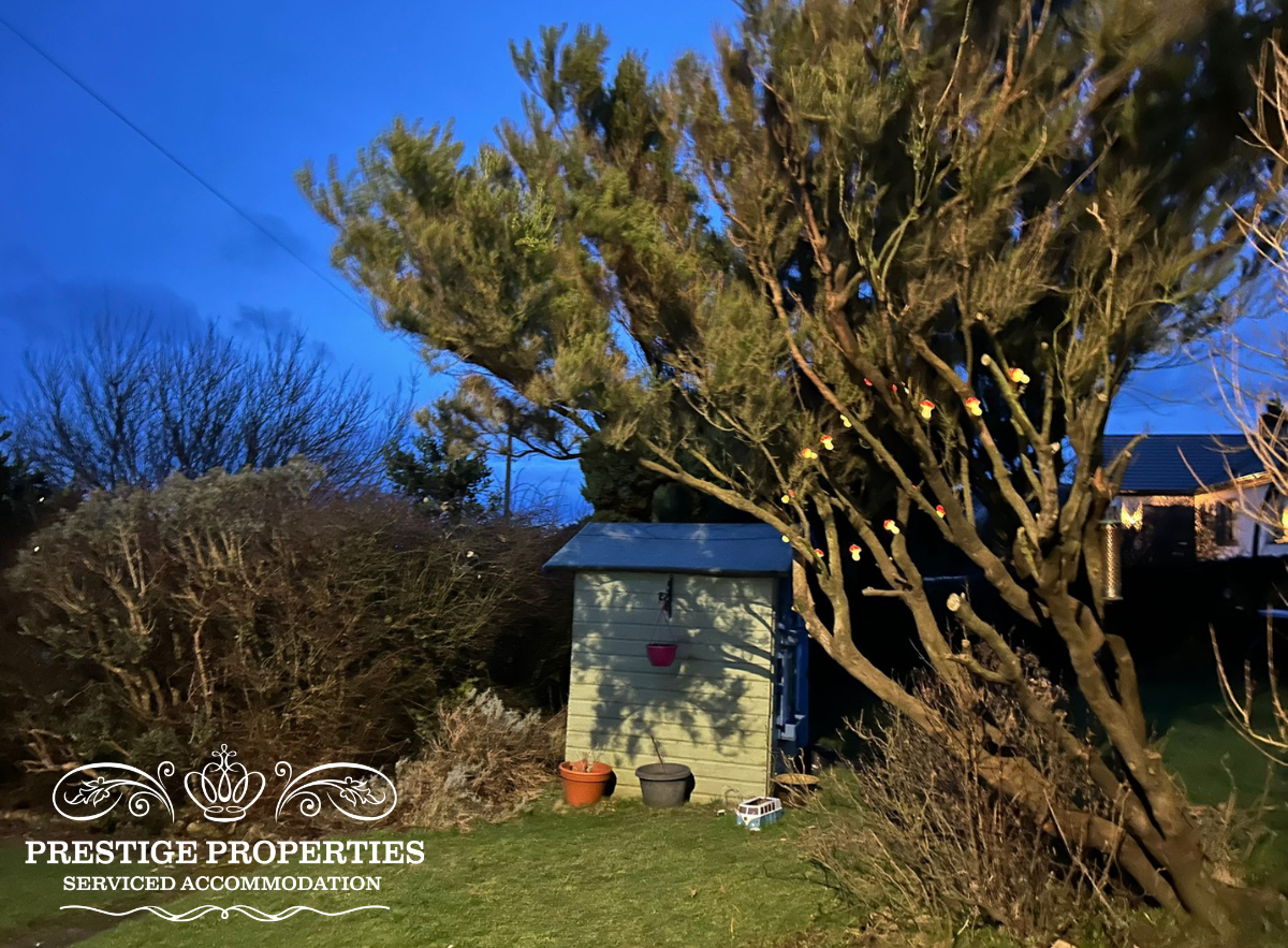 Somerby — photo 10